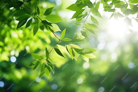 Premium Ai Image Abstract Green Foliage And Tree In Jungle Blur With
