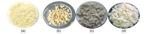 Apa itu tes protein plasma? Beras Apa yang Paling Baik Dikonsumsi? - Blog AhliGiziID