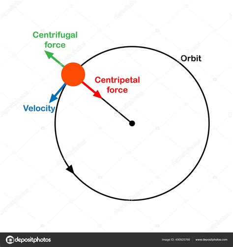 Diagrama Fuerza Centrípeta Centrífuga Vector Gráfico Vectorial