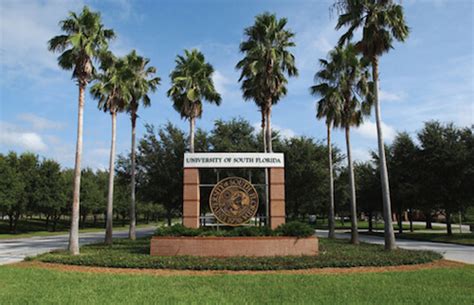 University Of South Florida Best Colleges Online