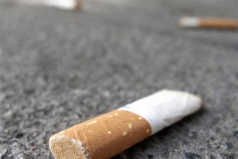 zigarettenstummel sind eine gefahr für mensch und umwelt › spd remscheid