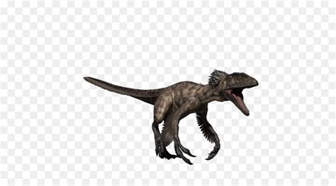 Deinonychus Velociraptor Spinosaurus Carcharodontosaurus Majungasaurus Dinozor şeffaf Png
