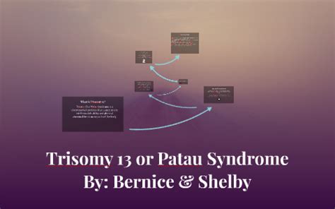 Trisomy 13 Or Patau Syndrome By Bernice Herrera