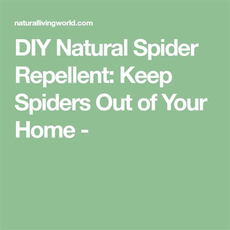 Diy Natural Spider Repellent Keep Spiders Out Of Your Home Spiders