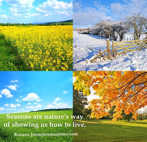 Quotes About Changing Seasons Quotesgram