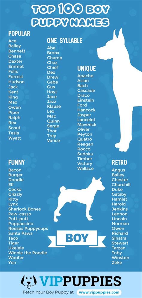 Top 100 puppy names for boys infographic | Puppy names, Boy puppy names, Dog names