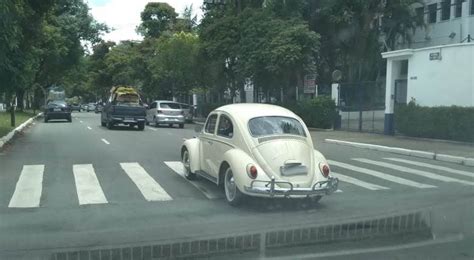 Fusca Kanduxo And Musica Fusca 1969 O Branco Diferente No Trânsito