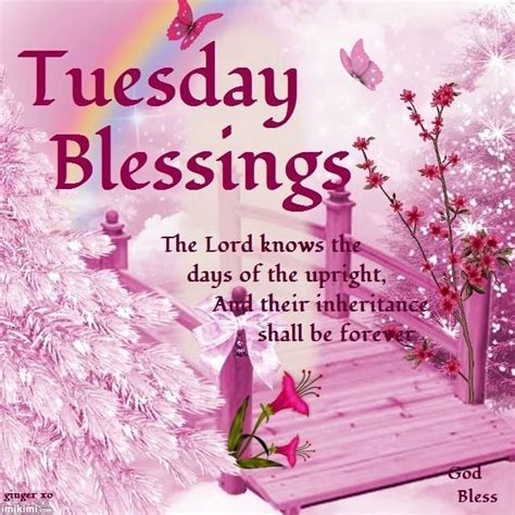Tuesday Blessings The Lord Knows The Days Of The Upright And Their