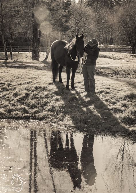 Photos Of Lori And Prince Save A Forgotten Equine Safe