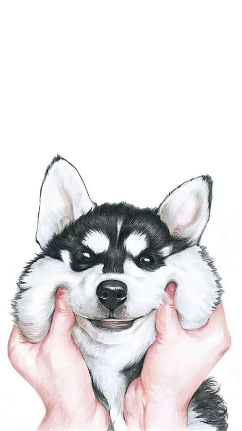 Cute Husky Dog Iphone Wallpaper Iphone Wallpapers