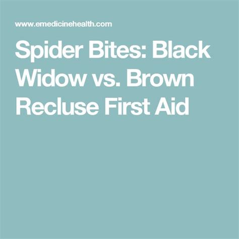 Spider Bites Black Widow Vs Brown Recluse First Aid Helpful Hints