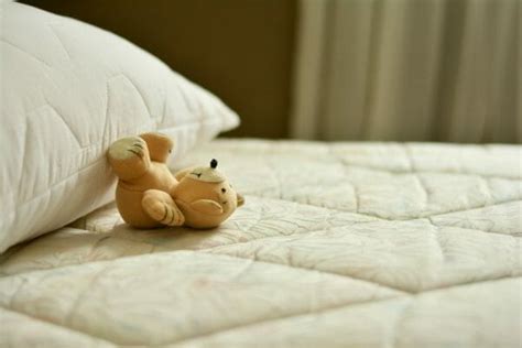 Come togliere ogni tipo di macchia con i metodi della nonna fai da te | mammarisparmio. Come togliere macchie di pipi dal materasso: rimedi pratici