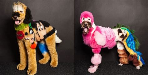 Extraordinary Photos Of Creative And Extremely Weird Dog Grooming