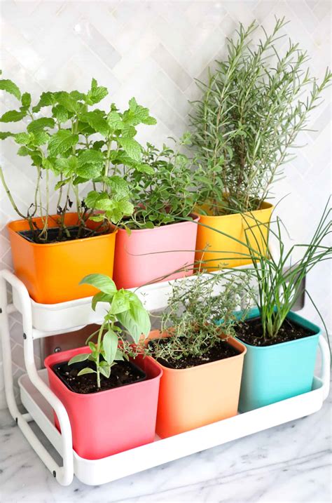 Think of all the different herbs that you use in your regular cooking, and start with them. Make a Colorful Indoor Herb Garden - A Beautiful Mess