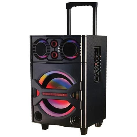Maxpower Professional Dj Speaker System Single 10 Woofer With