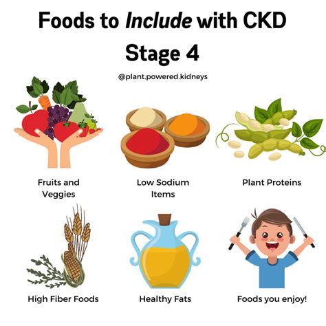 Stage 4 Kidney Disease The Ultimate Guide Plant Powered Kidneys