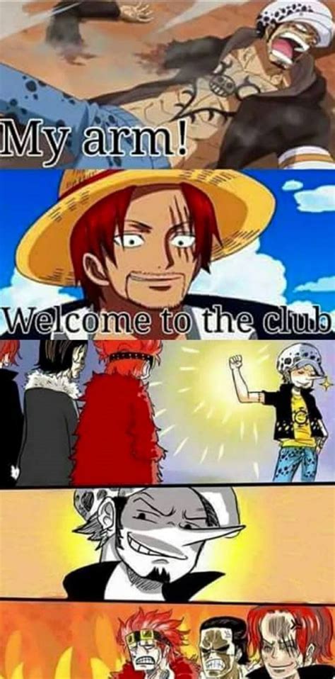 Como Diz No Título São Memes Do Anime One Piece Humor Humor