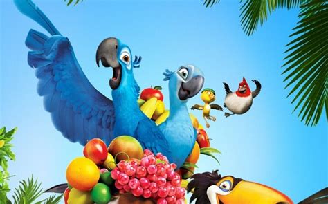 Birds From Rio And Rio 2 In Real Life Blog №2