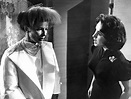 Movie Review: Suddenly, Last Summer (1959) | The Ace Black Movie Blog