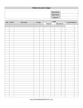 Balance sheet accounts followed by the income statement accounts. Printable Ledger
