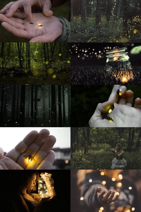 Fireflies Aesthetic Firefly Images Glow Paint Dream Collage