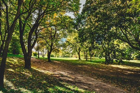 How To Manage Parks And Green Spaces Mycommunity