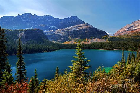 Beautiful Lake Ohara In Yoho National Park British Columbia Canada