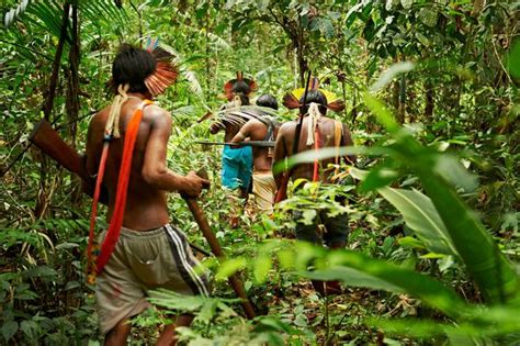 アマゾン熱帯雨林を守る先住民の活動 ナショナル ジオグラフィック日本版サイト