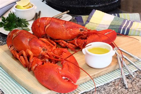How Maine's lobster industry is the ultimate model of sustainable