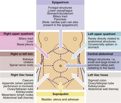 Abdominal Pain Diagnosis Chart Best Picture Of Chart