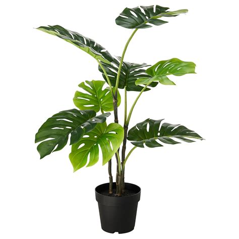 Potey ceramic planter flower plant pot how to plant an indoor plant in a pot? FEJKA in/outdoor Monstera, Artificial potted plant - IKEA