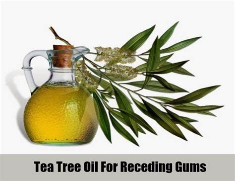 Tea Tree Oil For Receding Gums Tea Tree Oil Tea Tree Oil For Acne