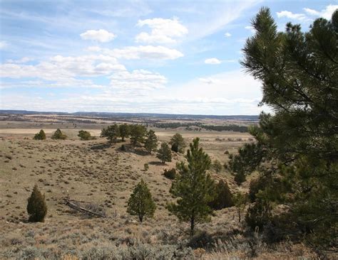 280 Acres In Weston County Wyoming