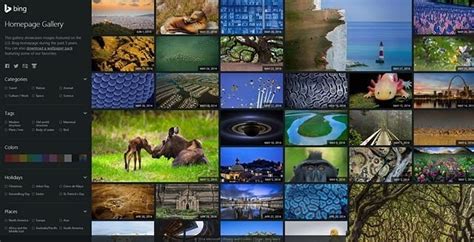 Bing Homepage Hd Wallpapers Collection No Watermark 2019 Vcgsoft Freeware Team
