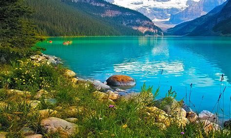 Turquoise Lake Mountain Lake Nature Flower Hd Wallpaper Peakpx
