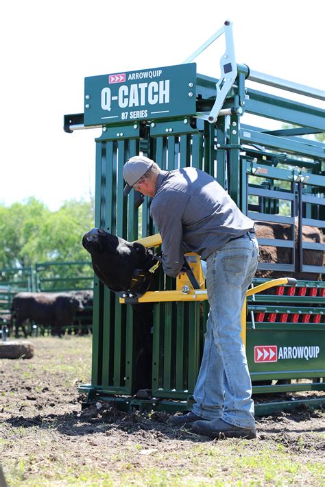 Arrowquip Q Catch 7400 Cattle Chute With Vet Cage 10825