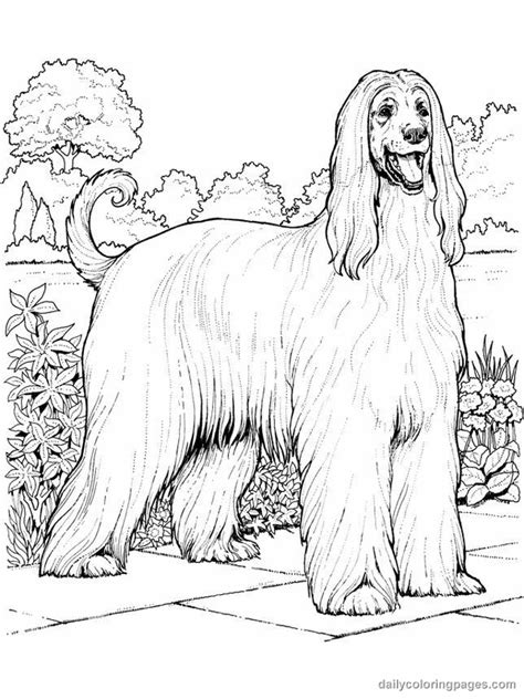 Realistic Dog Coloring Pages Coloring Home
