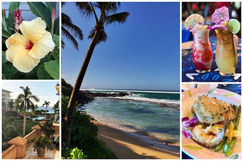 Fun Things To Do And Eat In Maui Hawaii Barbara Bakes™