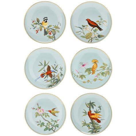 Set Of Six Hand Painted Porcelain Bird Plates Hand Painted Porcelain