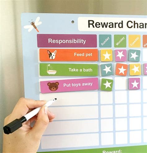 Reward Chart For Kids With Erasable Magnetic Pen Reward Chart Kids
