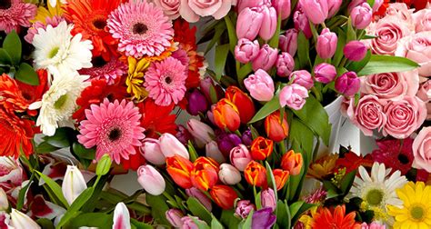Having a florist near me to provide freshly cut flowers boosts energy, health, and can have strong impacts on the quality of daily life. FTD Florist Directory | Find Local Florists Near You