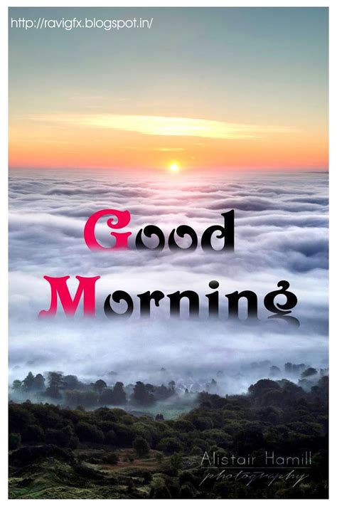 When you send good morning friend messages to your friend, their morning becomes really good. Beautiful Good morning images, Telugu Quotes good morning ...