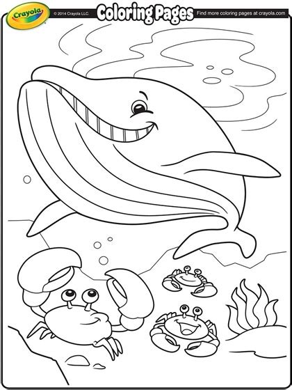 Coloring page water > blue whale. Whale Coloring Page | crayola.com