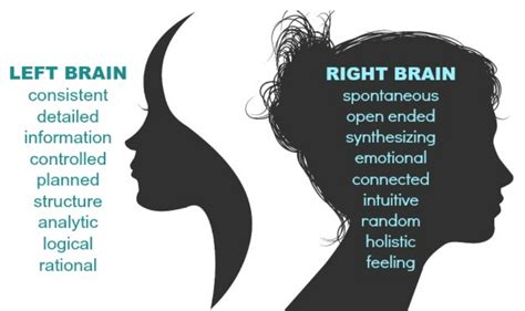 Right brain belief, everyone has one side of their brain that is dominant and determines their personality, thoughts, and behavior. Personnel Staffing » Right-Brained or Left-Brained. Which ...