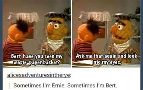 Sesame Street 10 Hilarious And Adorable Bert And Ernie Memes