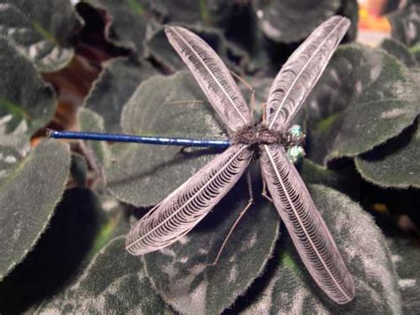 Adult Dragonfly Realistic Fly Tying Fly Tying