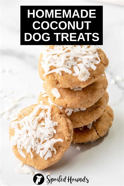 Easy Coconut Dog Treats Recipe No Bake Spoiled Hounds