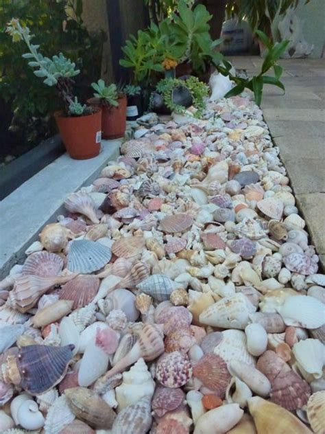Something To Do With All Those Shells Landscape Edging Garden Edging