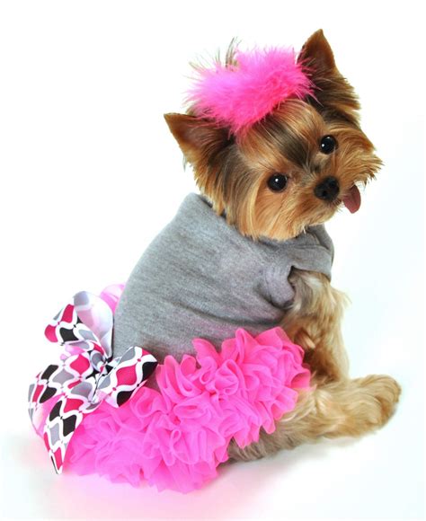 Dog Dresses Dress The Dog Clothes For Your Pets