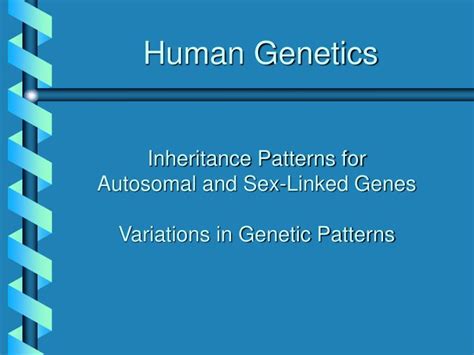 Ppt Human Genetics Powerpoint Presentation Free Download Id1447706